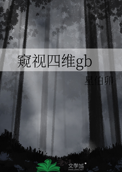窥视四维gb