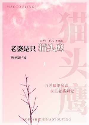 傲娇老婆是只猫头鹰