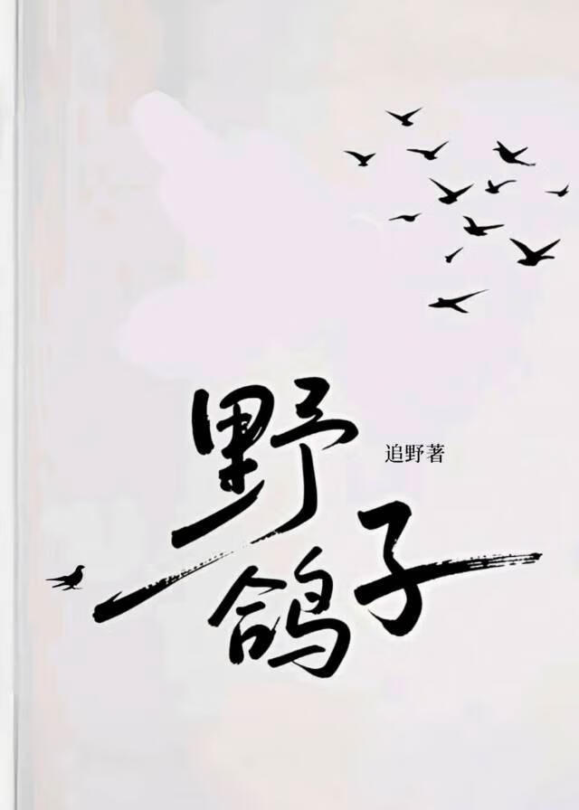 野鸽子