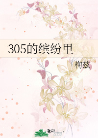 305的缤纷里