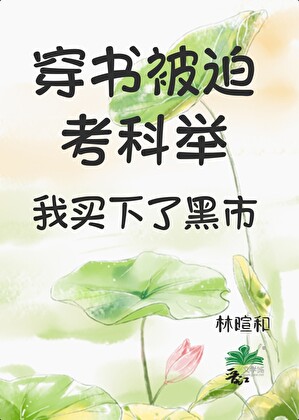被迫穿书考科举，我买下了黑市