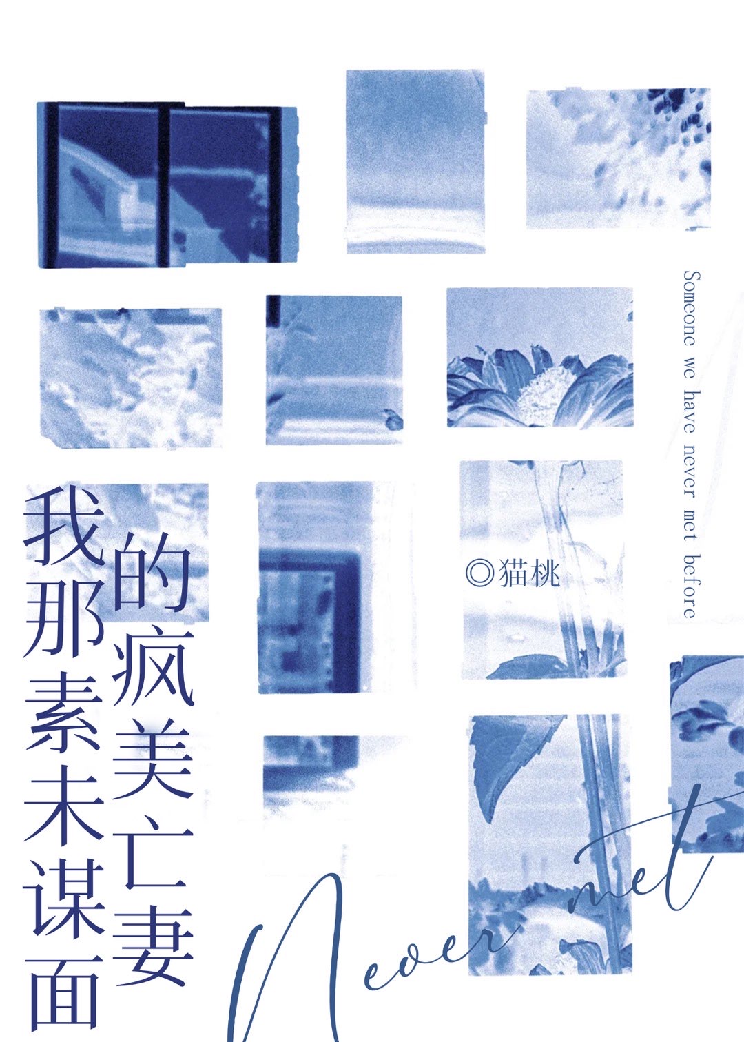 我那素未谋面的疯美妻子