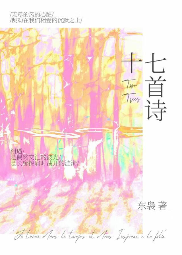 十七首诗
