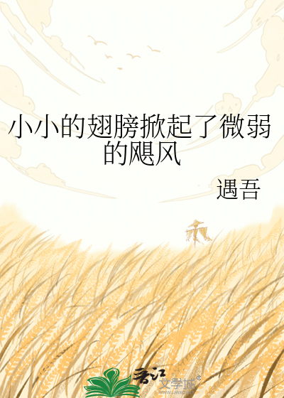 小小的翅膀掀起了微弱的飓风