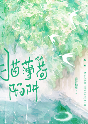 猫薄荷陷阱