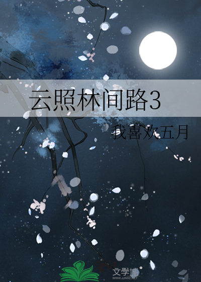 云照林间路3