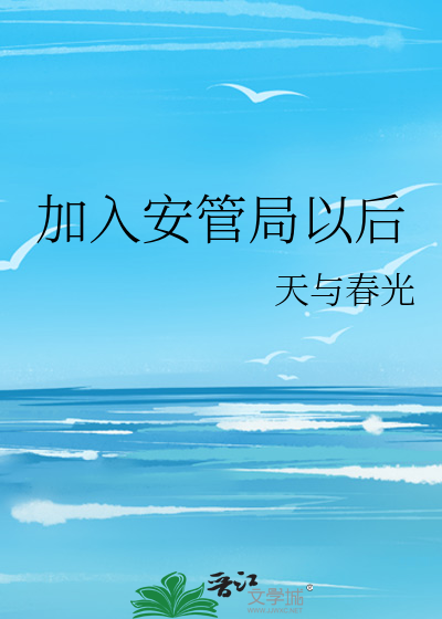 加入安管局以后