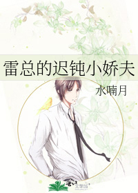 雷总的迟钝小娇夫