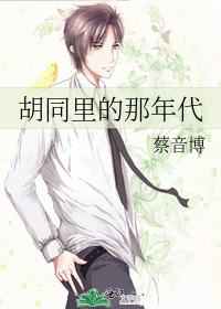 胡同里的那年代
