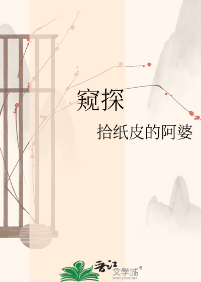 窥探