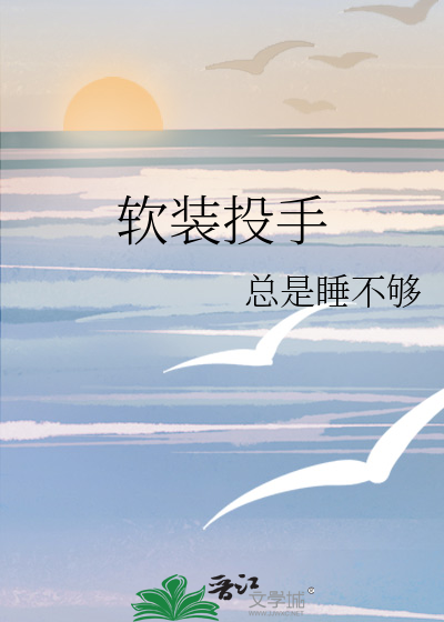 软装投手