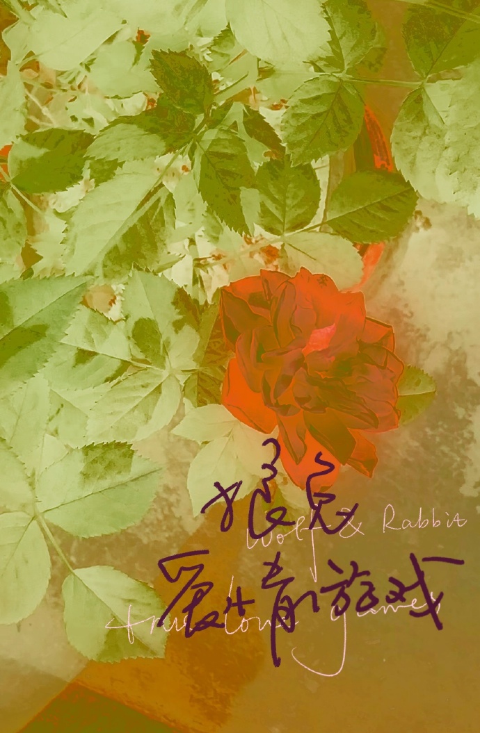 狼兔爱情游戏