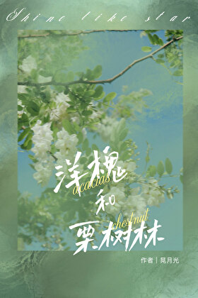 洋槐和栗树林