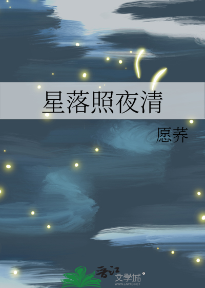 星落照夜清
