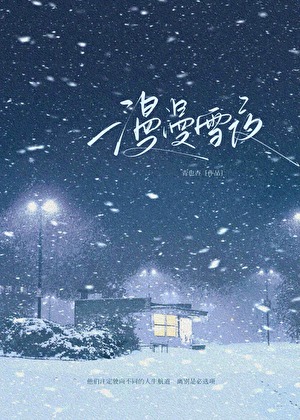 漫漫雪夜