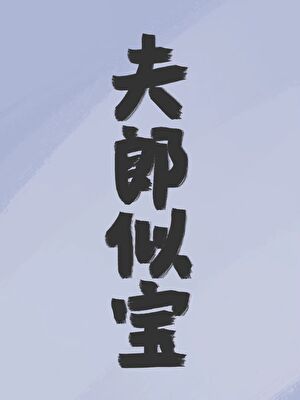 夫郎似宝