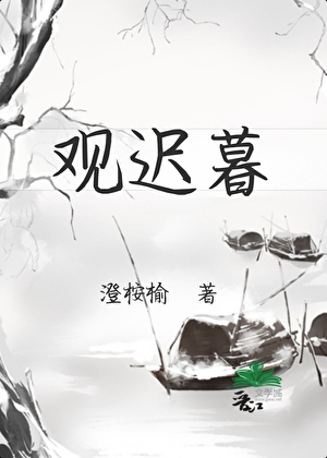 观迟暮