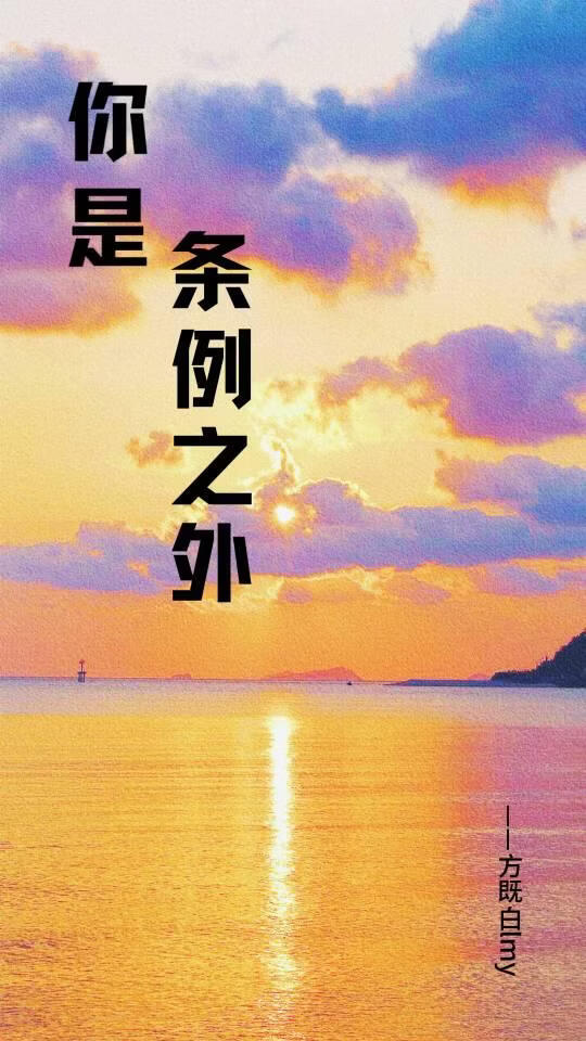 你是条例之外[警匪]