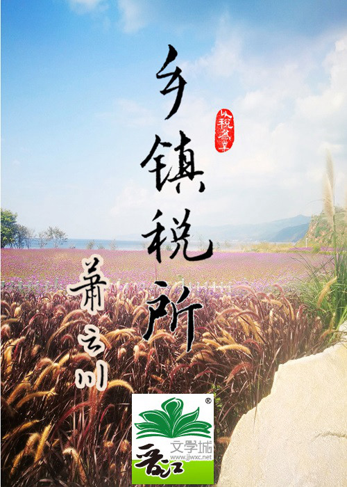 乡镇税所