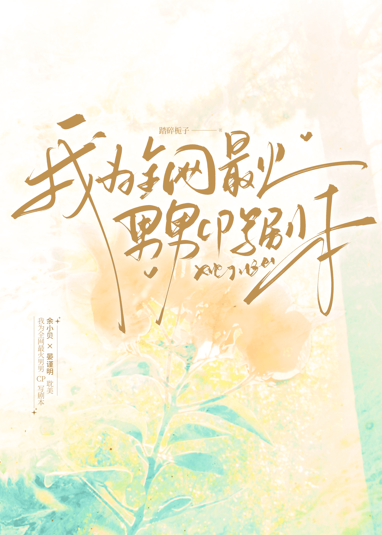 我为全网最火男男CP写剧本